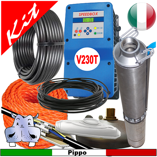 Pompe Immergée électrique 1,5 CV Monophasée - Modèle MC 250, 240V, Débit 6500 L/h, 2 Ans Garantie